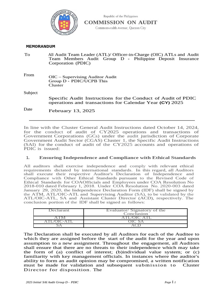 2025 PDIC Audit Instructions Guide | PDF | Audit | Auditor's Report
