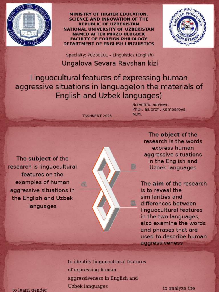 Linguocultural Analysis of Aggression in English and Uzbek | PDF ...