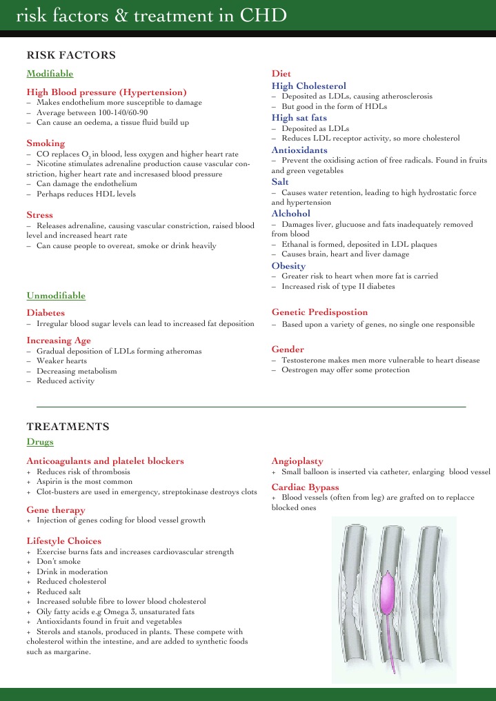 CHD Risk Factors and Treatment Options | PDF | Cholesterol | Blood