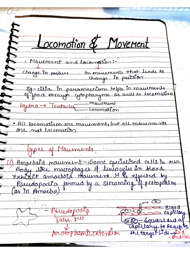Locomotion and Movement Notes | PDF
