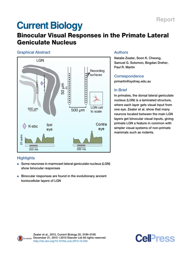 Binocular Visual Responses in The Primate Lateral | PDF | Neuroscience ...
