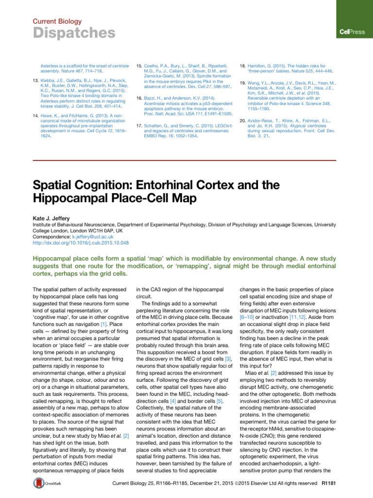 Entorhinal Cortexs Role In Place Cell Remapping Pdf Hippocampus 