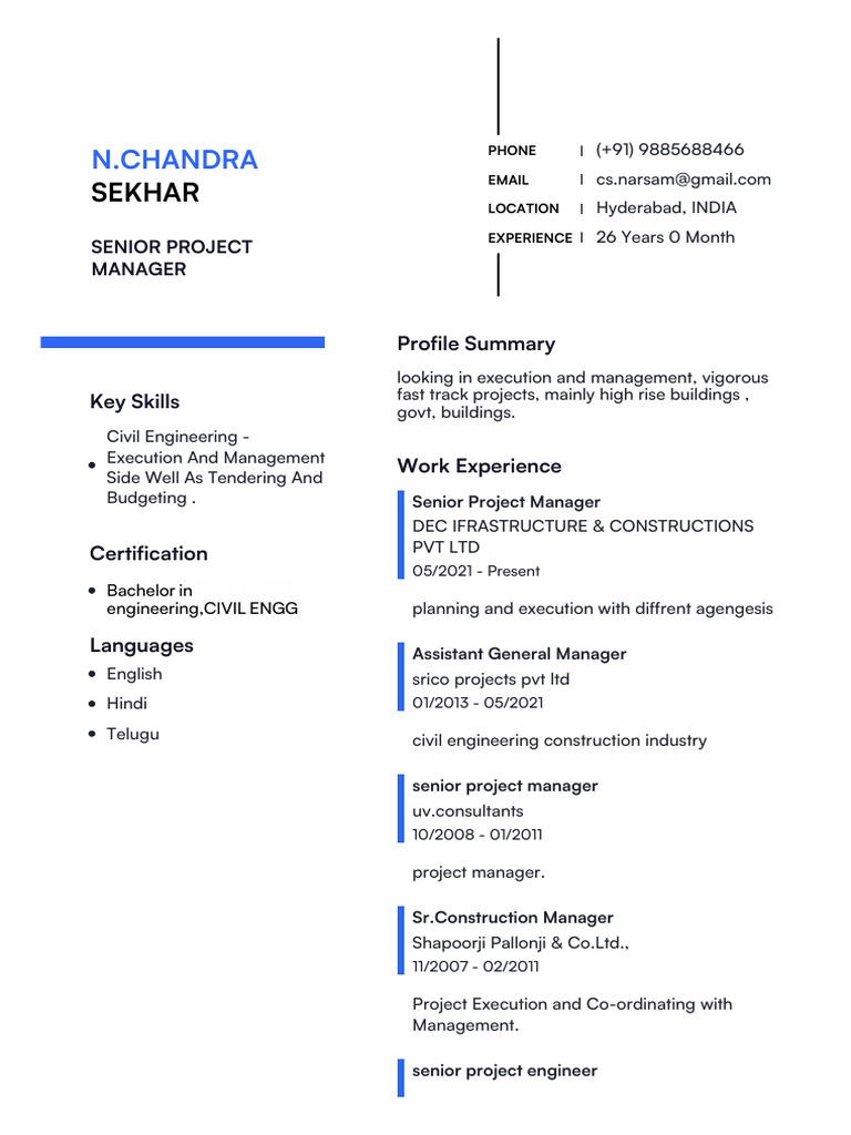 Senior Project Manager Profile | PDF