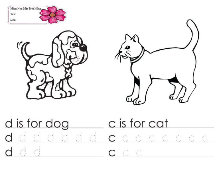 Dog & Cat | PDF