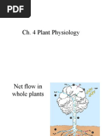 Download 4 Plant Physiology - Ippt by baling_girlz SN93380762 doc pdf