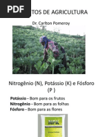 Concetos de Agricultura