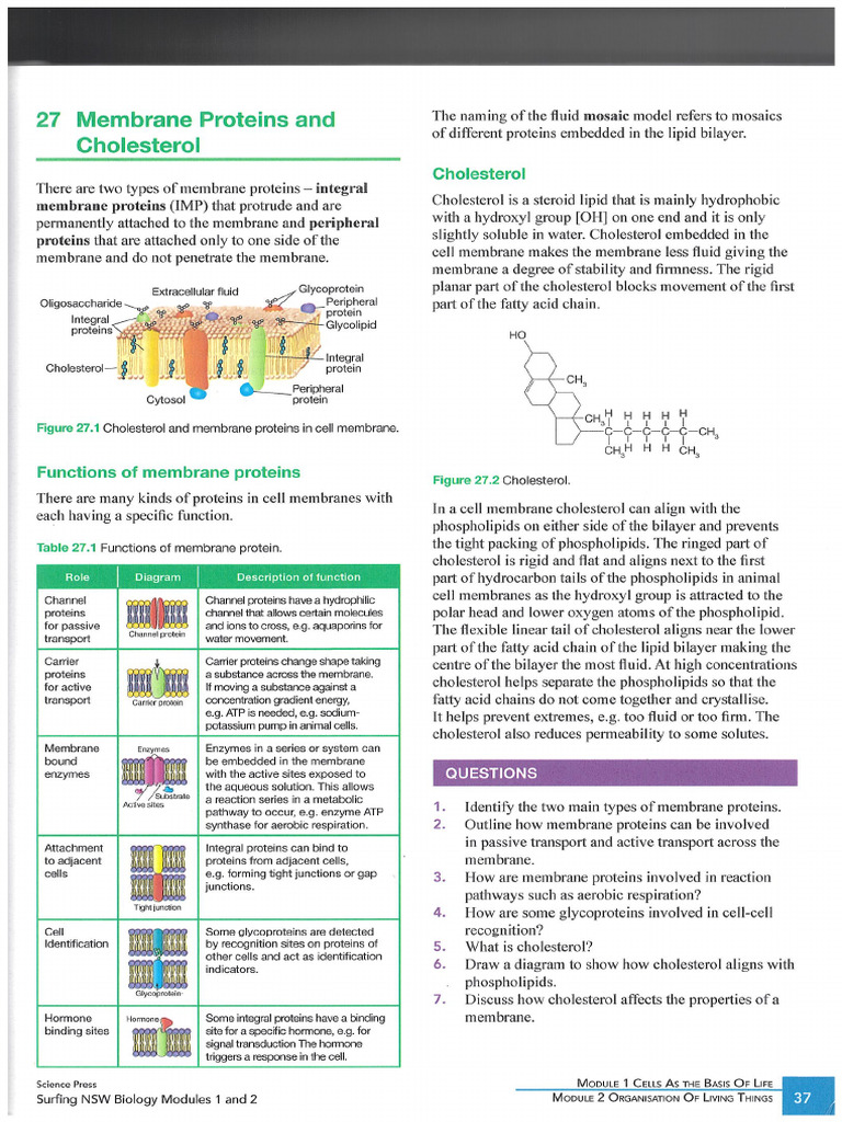 27 Membrane Proteins and Cholesterol | PDF