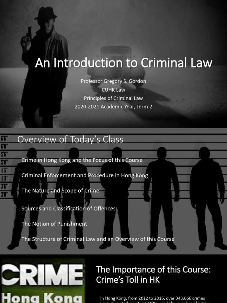 Overview of Criminal Law in Hong Kong | PDF | Burden Of Proof (Law ...