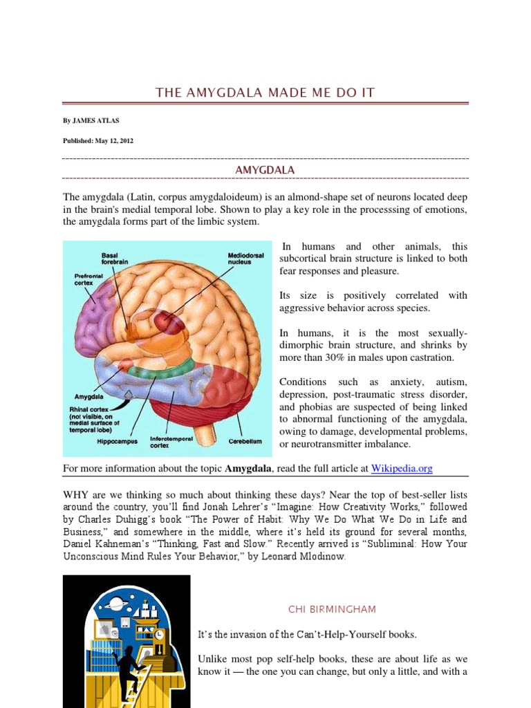 Amygdala's Role in Behavior and Emotion | PDF | Applied Psychology ...