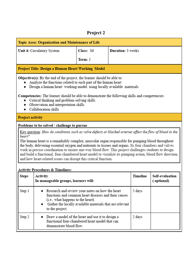Human Heart Model Project Guide | PDF | Atrium (Heart) | Heart