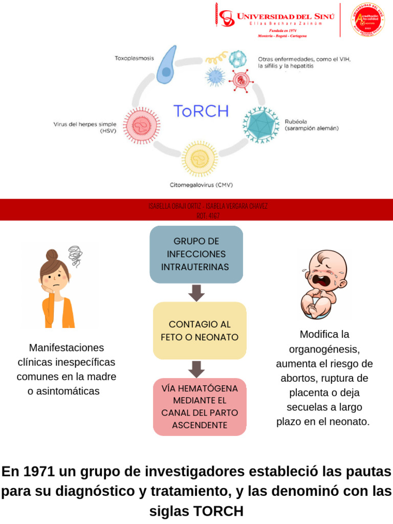 Infecciones Intrauterinas: TORCH y Sífilis | PDF | Inmunología ...