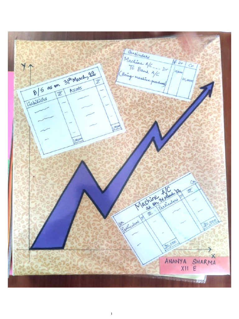 Accountancy File | PDF