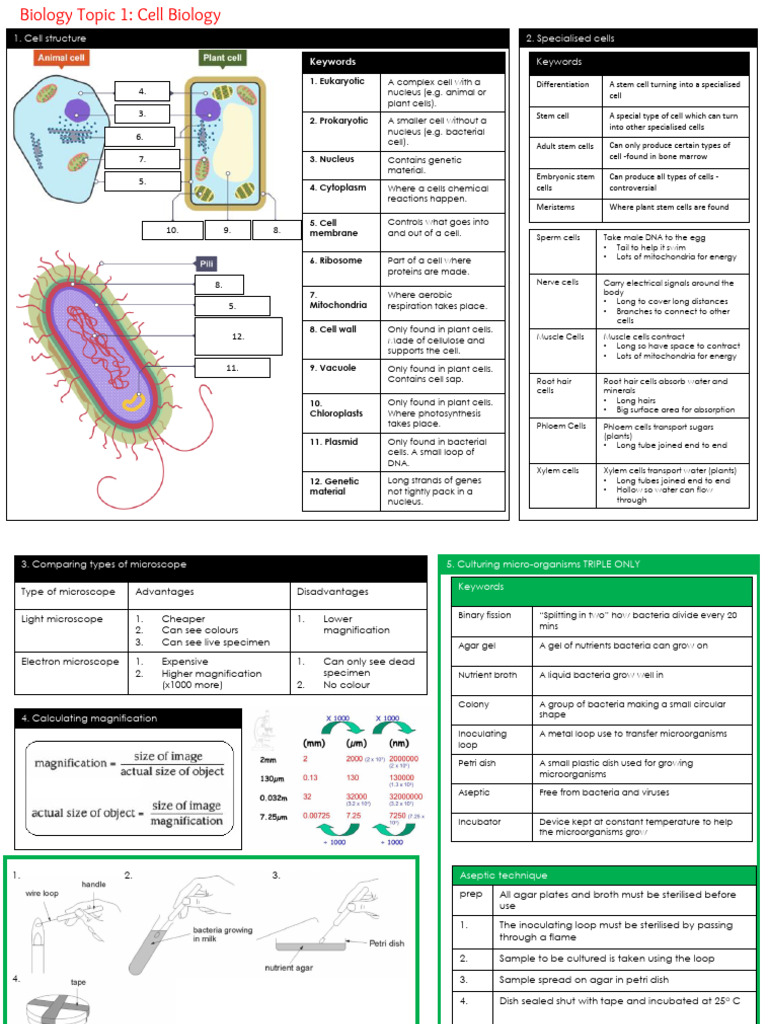 Cell Biology Concepts and Techniques | PDF | Cell (Biology) | Mitochondrion