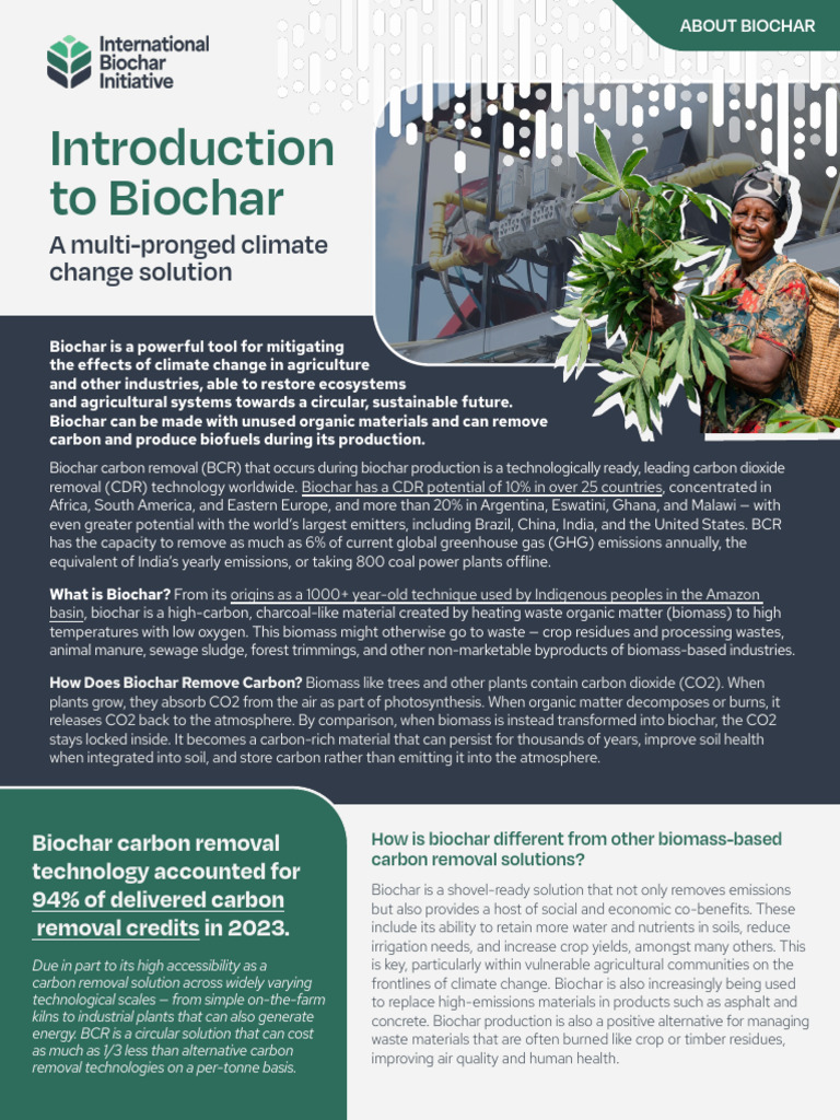 Biochar: Climate Solution & Carbon Removal | PDF | Climate Change ...