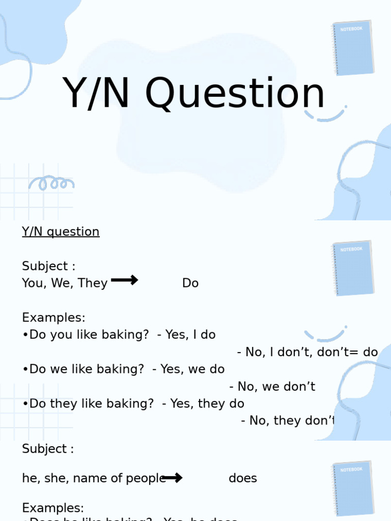 Y/N Questions and Answers Guide | PDF