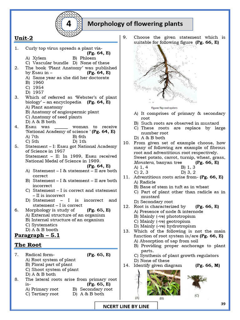 Botany: Plant Anatomy and Morphology | PDF | Leaf | Plant Reproduction