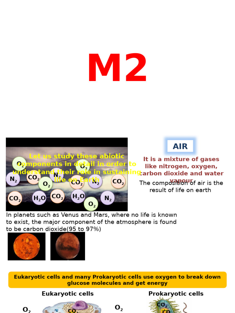 Module 2 | PDF