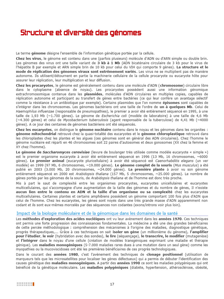Structure Et Diversite Des Genomes | PDF