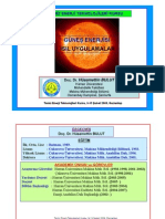 Gunes Enerjisi 1