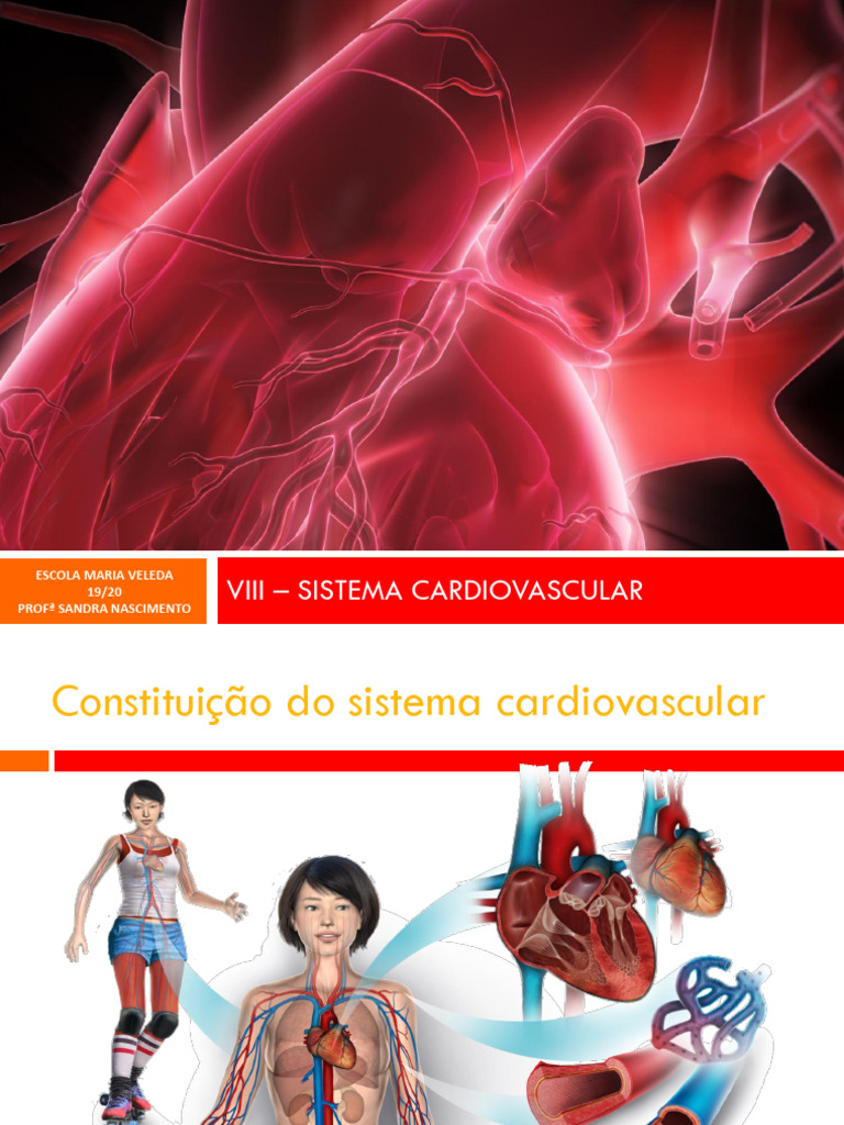 Estrutura e Função do Sistema Cardiovascular | PDF | Coração | Veia