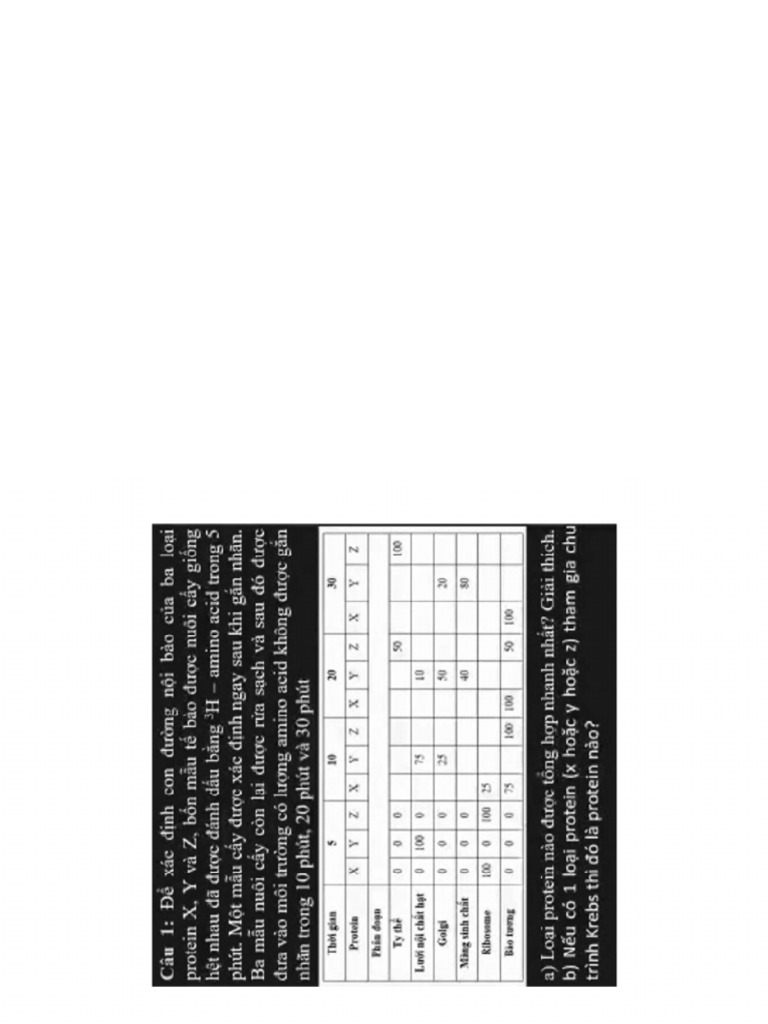 5 X 7 In. | PDF