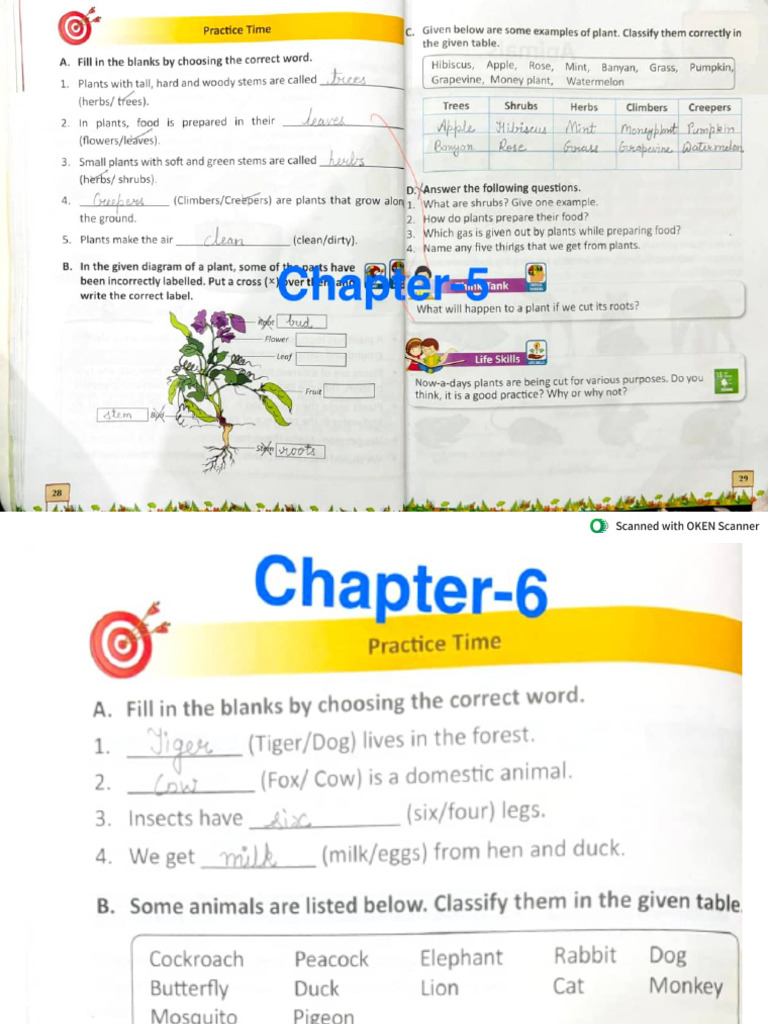 EVS Book Work | PDF