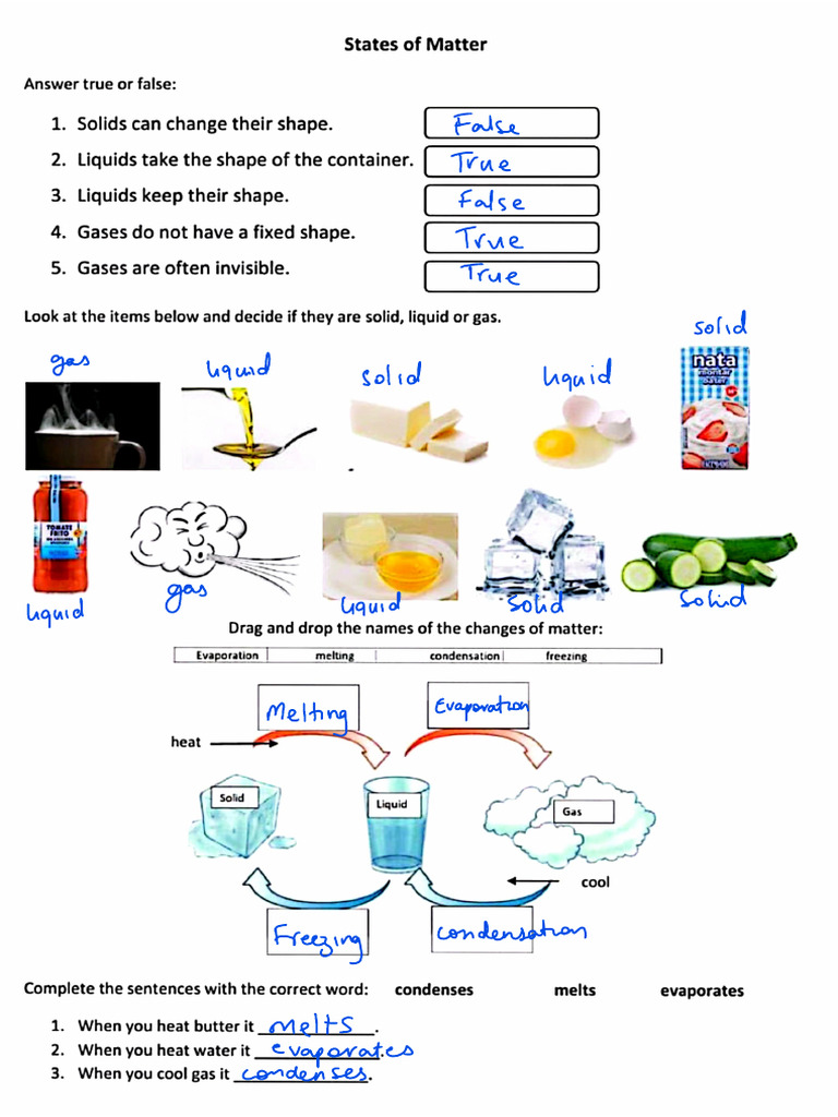 Intro Science States of Matter | PDF