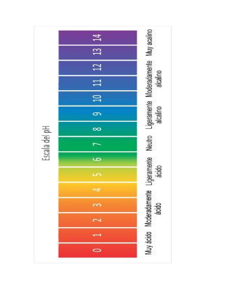 PH | PDF