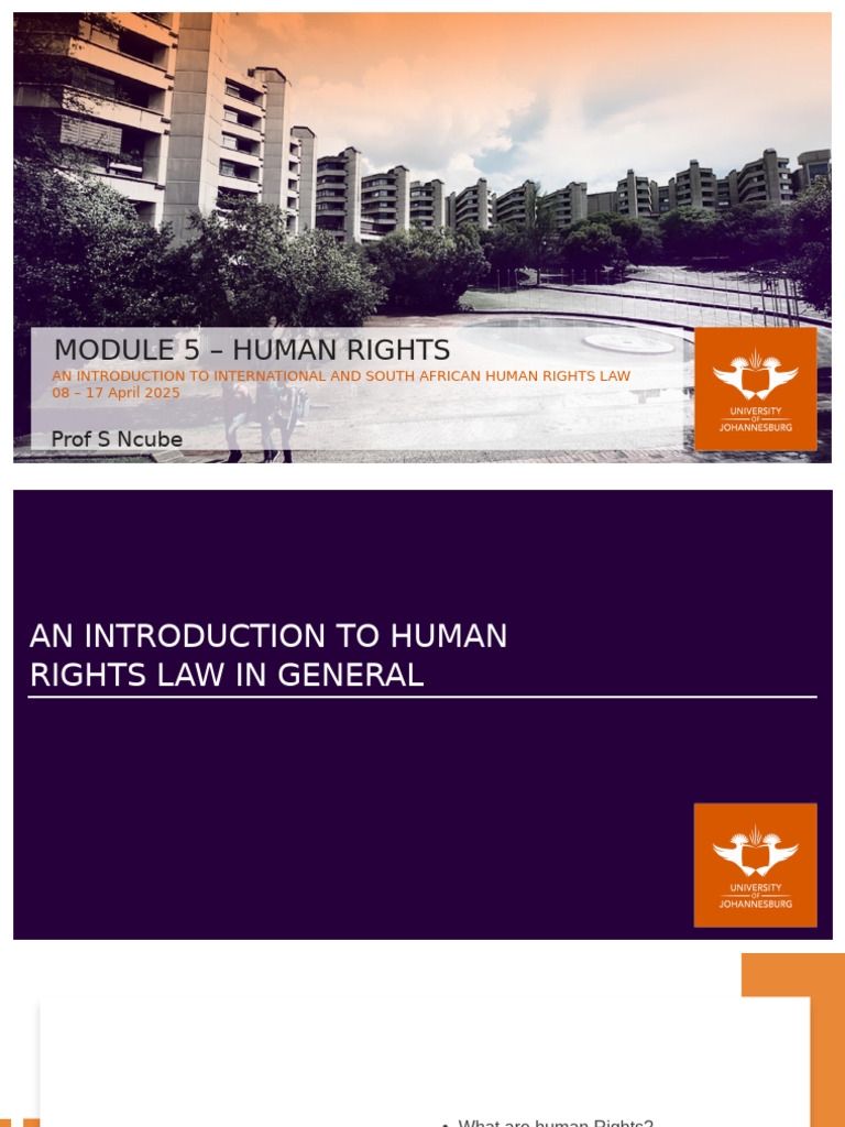 Overview of Human Rights Law in SA | PDF | Human Rights | International ...