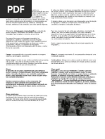 A Invenção Dos Irmãos Lumière