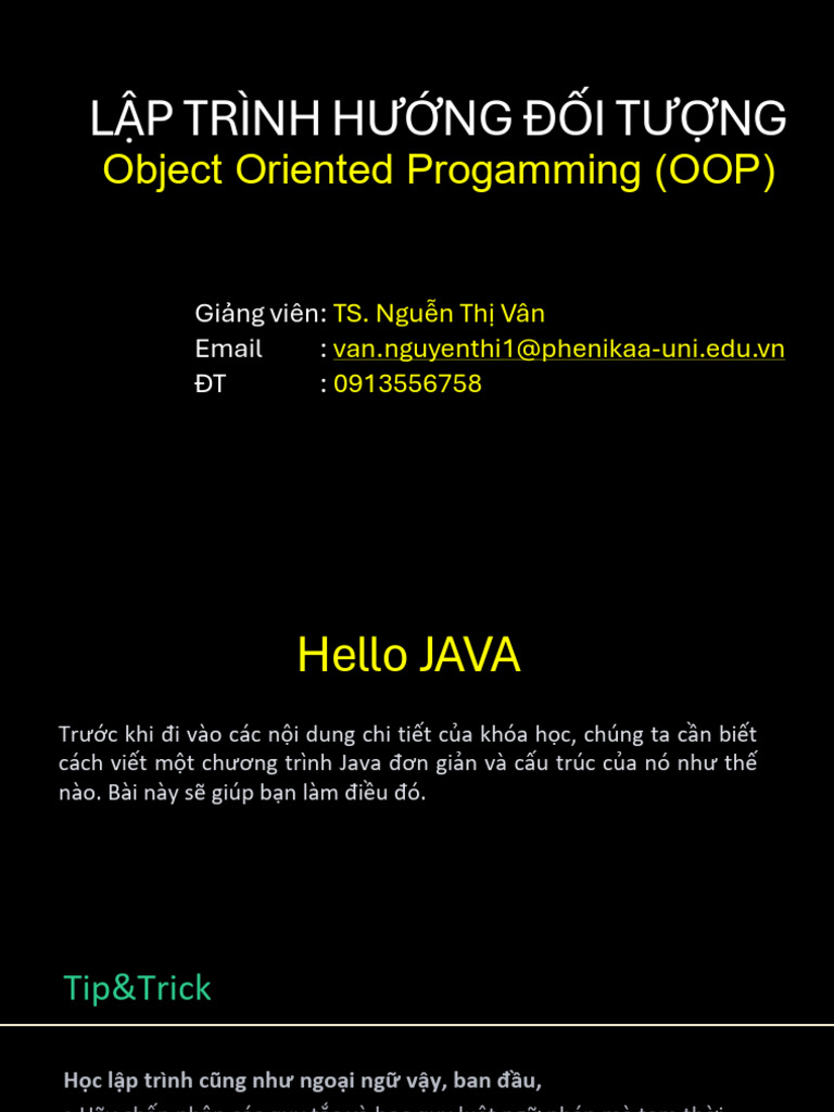 Gioi Thieu Ve Java | PDF