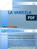 Varicela Diapositiva