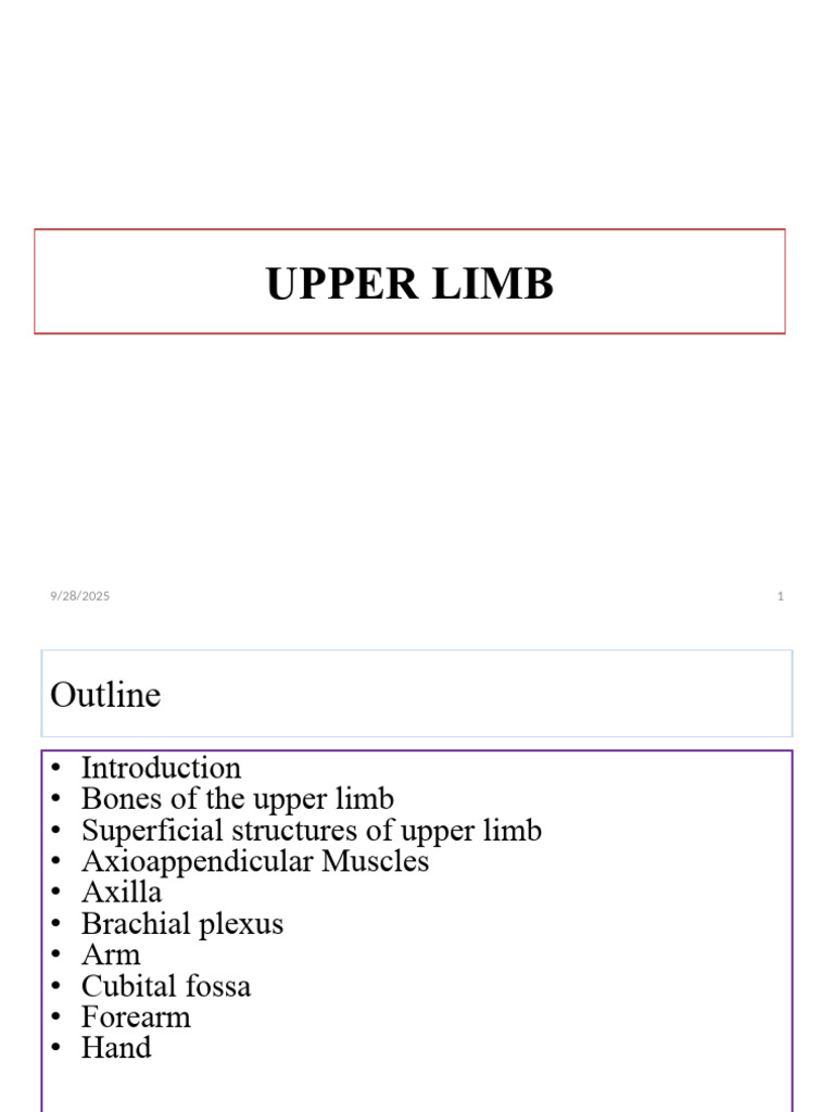 Anatomy of the Upper Limb Explained | PDF | Arm | Elbow