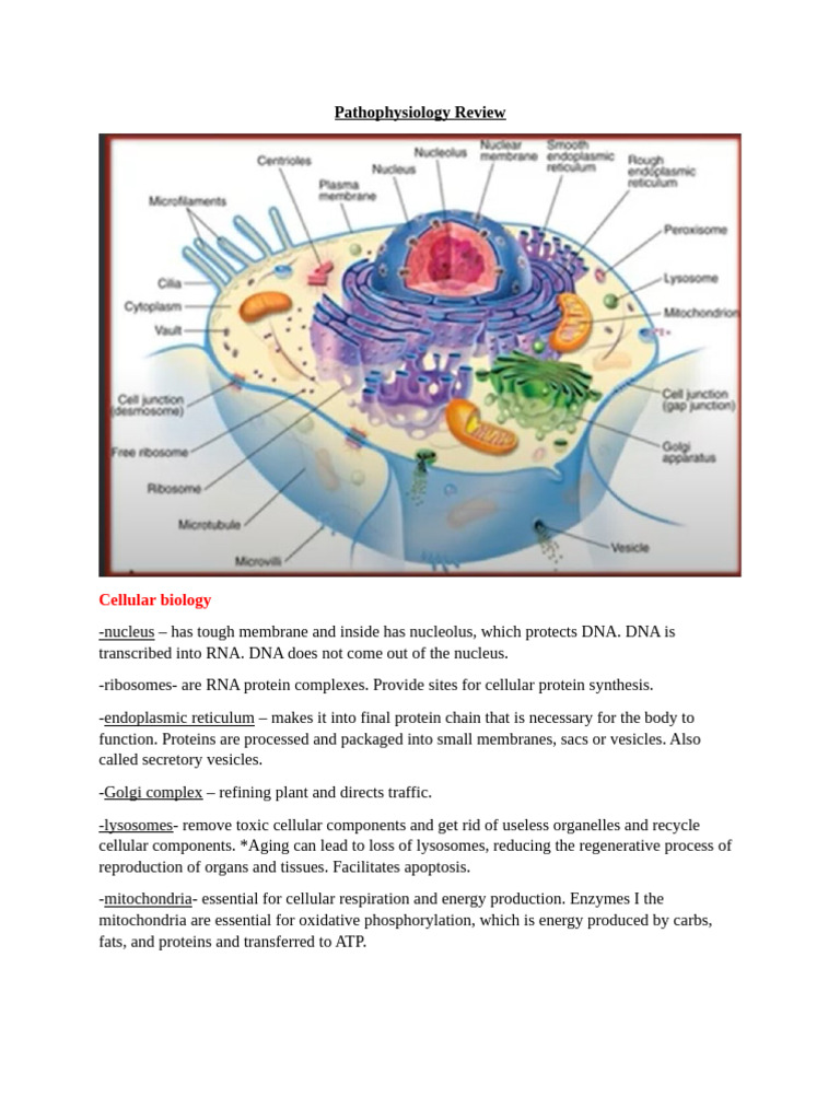 Cellular Pathophysiology Overview | PDF | Dominance (Genetics ...