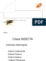 Caractere Generale Ale Insectelor