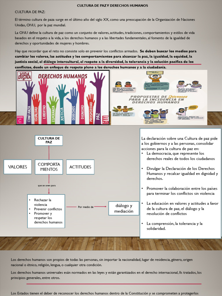 Cultura de Paz y Derechos Humanos en Ecuador | PDF | Derechos humanos ...