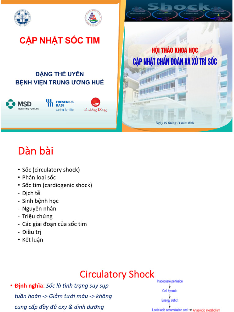 4. CẬP NHẬT SỐC TIM. 27-11-2021 | PDF