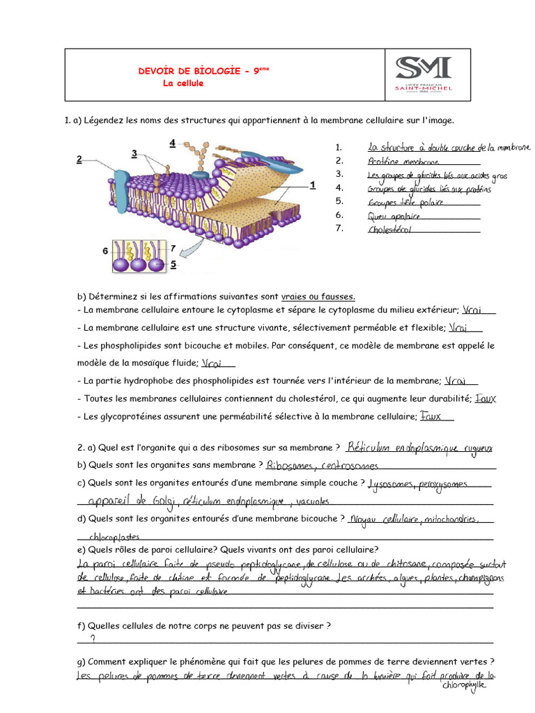 Structures et fonctions de la cellule | PDF | Membrane cellulaire ...