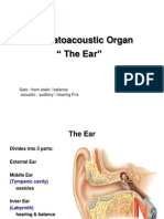 The Ear E-learning (1)