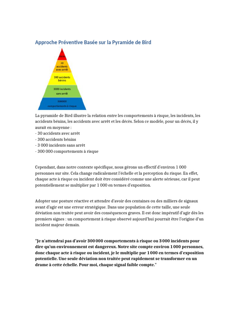 Pyramide de Bird : Prévention des Risques | PDF