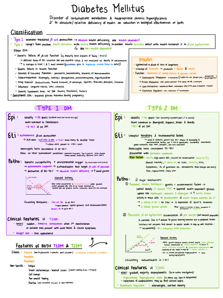 understanding-diabetes-mellitus-types-pdf-diabetes-insulin