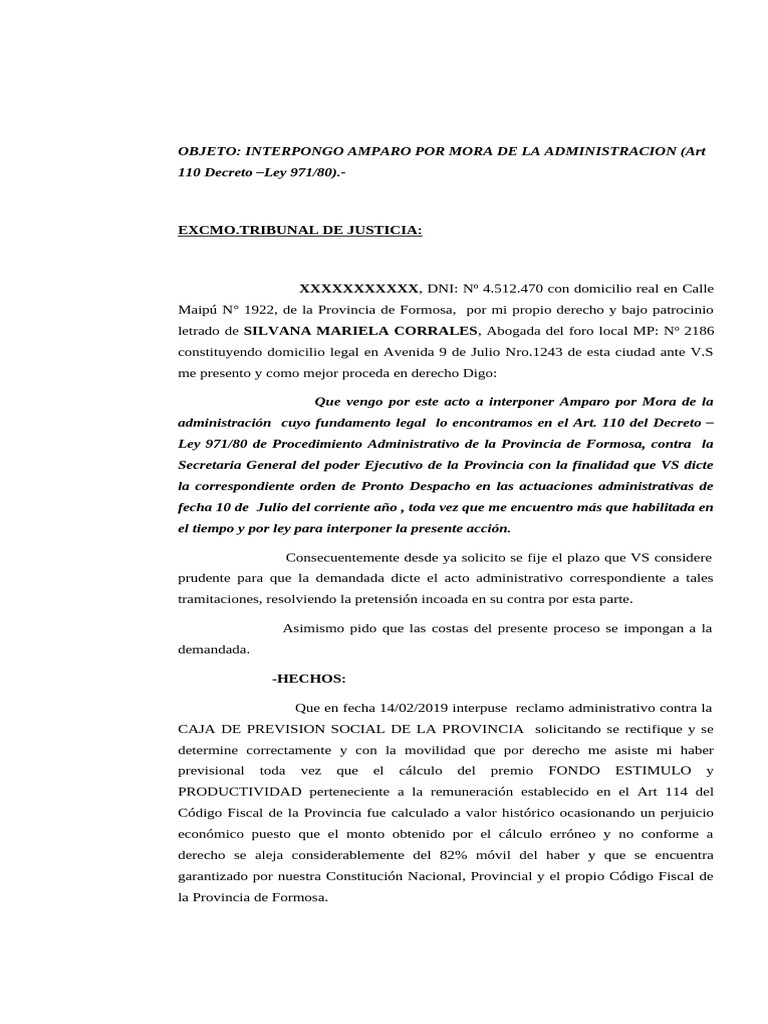 Amparo Por Mora - Modelo - Sarita | PDF | Gobierno | Justicia