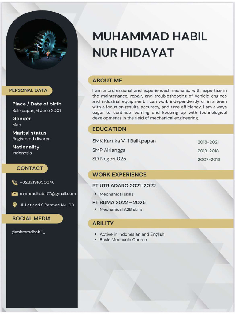 CV Habil | PDF