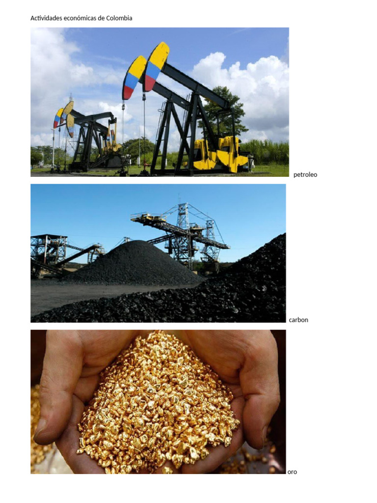 Actividades Económicas en Colombia, Ecuador y Más | PDF