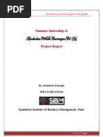 Download 32219_Summer Internship Report by Akhilesh Rai SN93415553 doc pdf