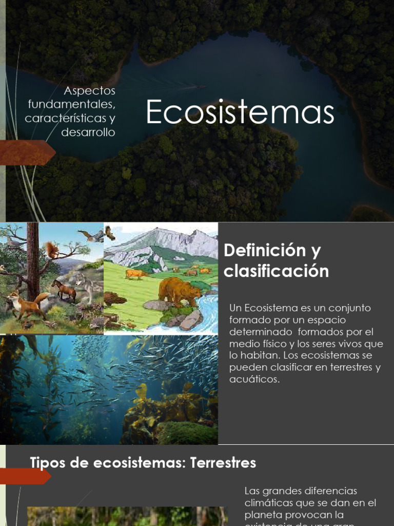 Tipos y características de ecosistemas | PDF | Ecosistema | Red alimentaria