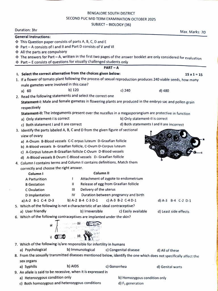 Biology Mid Term Exam Paper 2025 | PDF | Zygosity | Histone