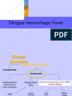 Dengue Hemorrhagic Fever