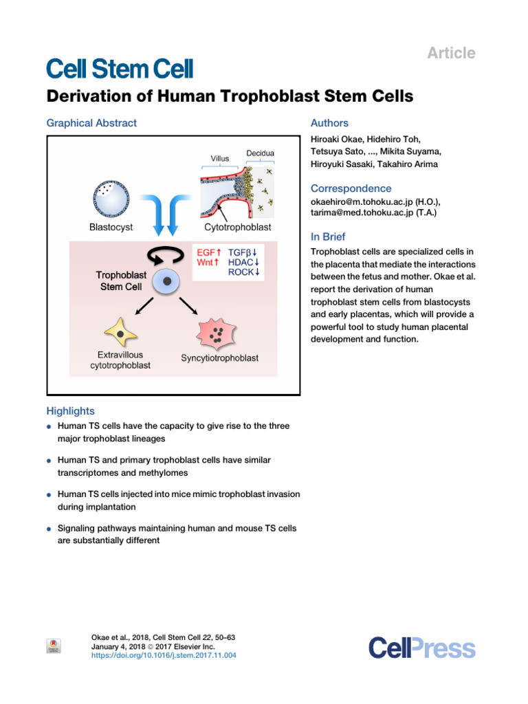 Derivation of Human Trophoblast Stem Cells | PDF | Dna Methylation ...