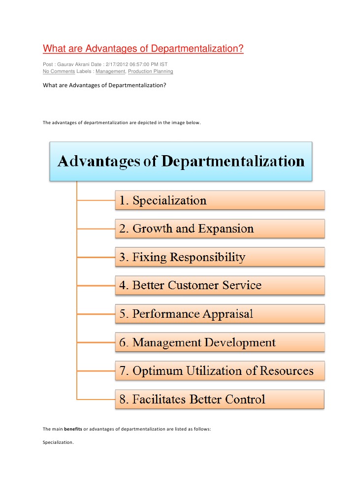 What Are Advantages of Departmentalization PDF Performance